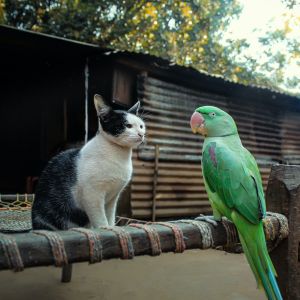 levné sloučení půjček do jedné, refinancování, přeúvěrování drahých úvěrů, dluhů, závazků